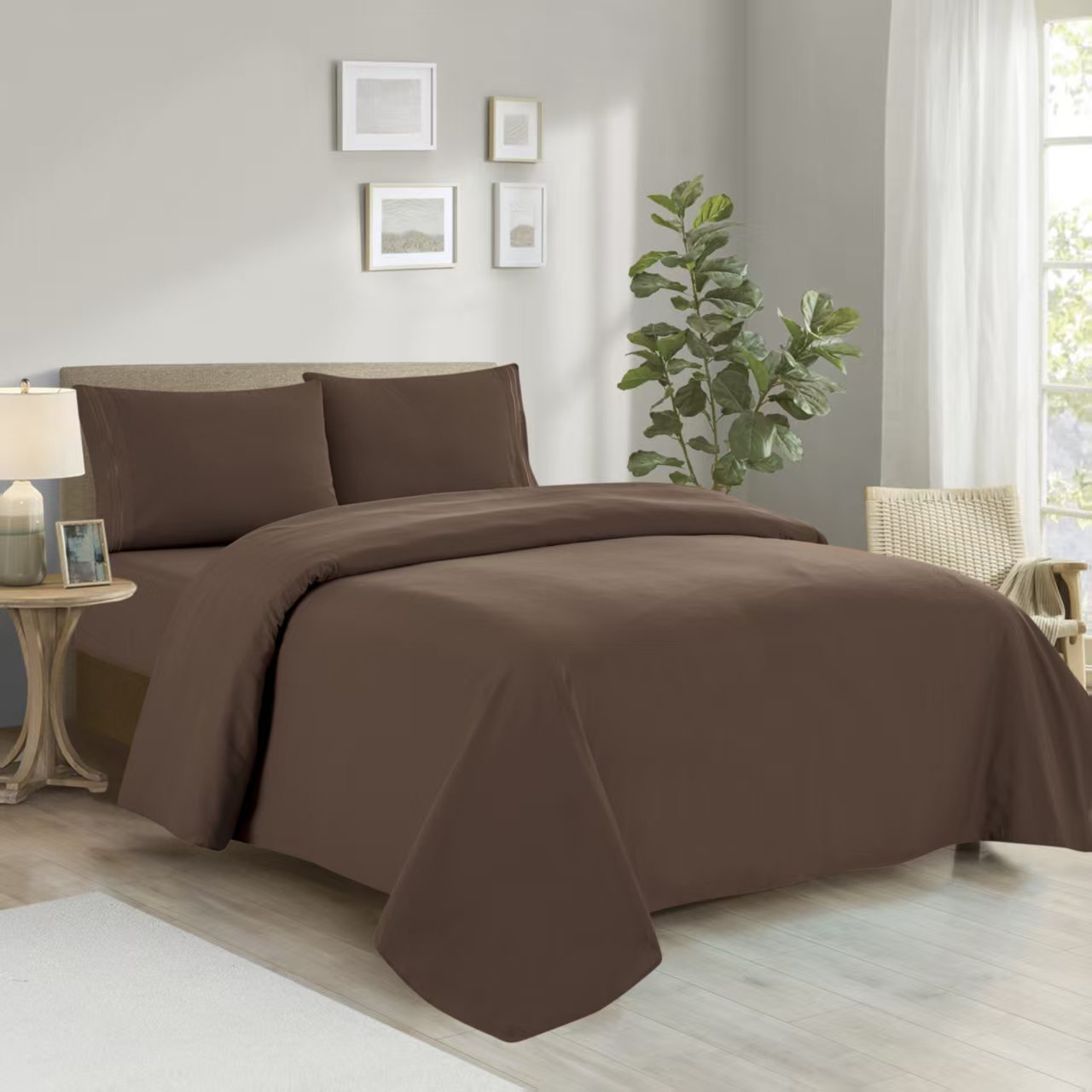 4pc Bedsheet Solid