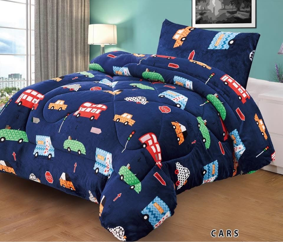 2pc Borrego Twin Printed Blanket