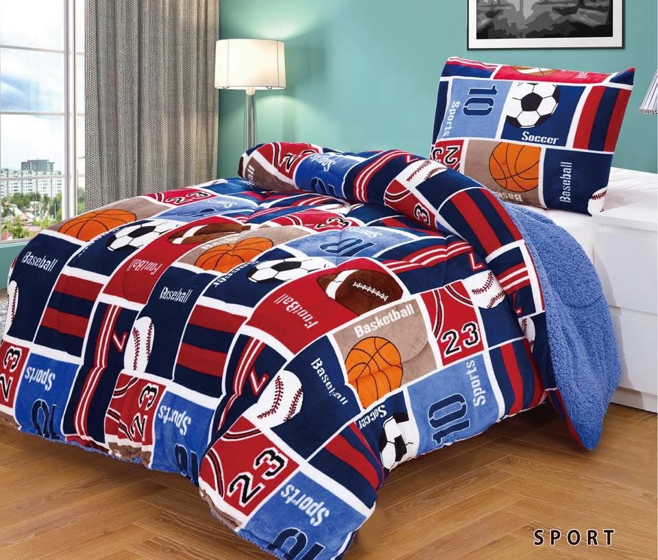 2pc Borrego Twin Printed Blanket