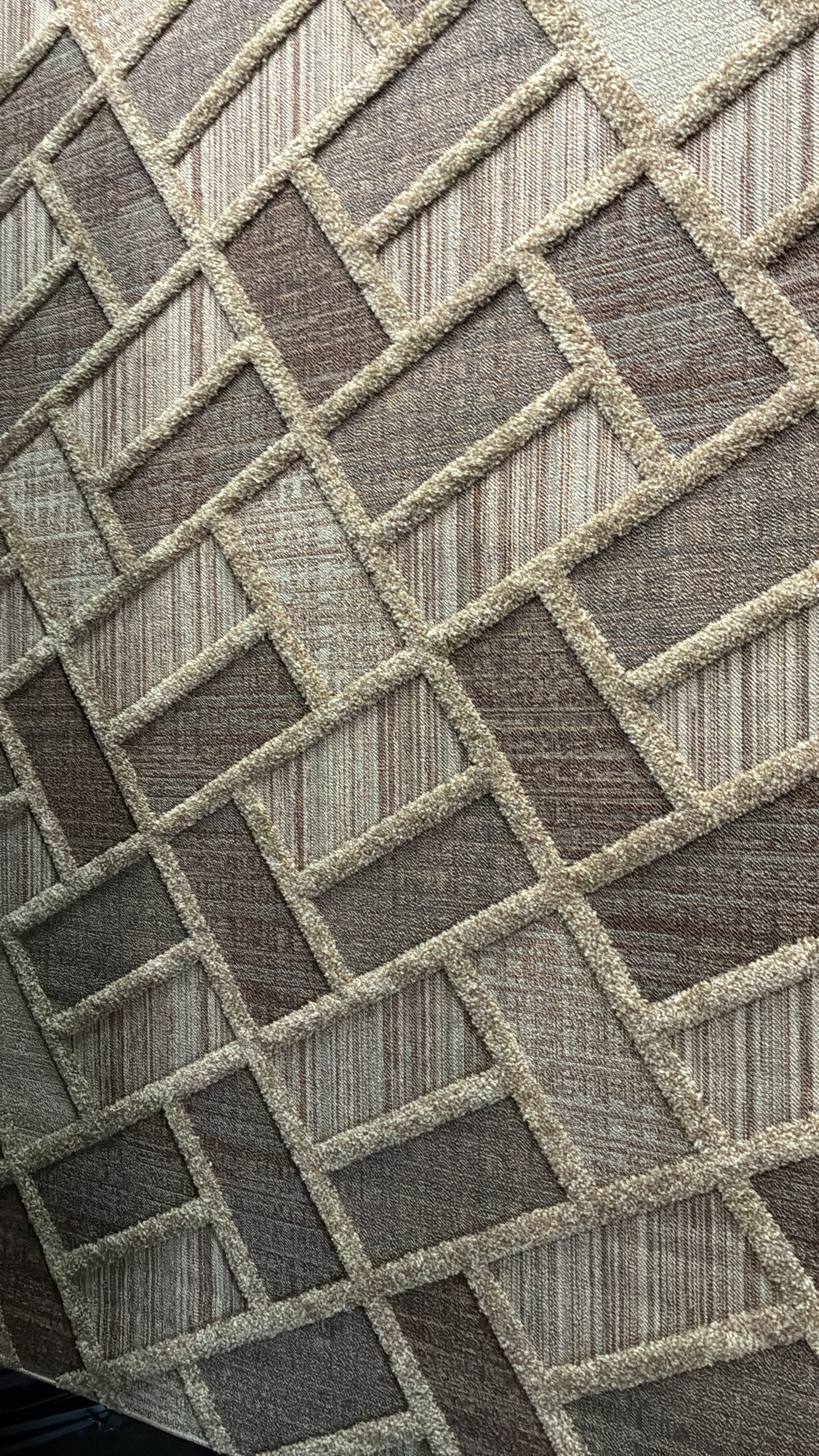 Shaggy Suave Carpet 2'x3'