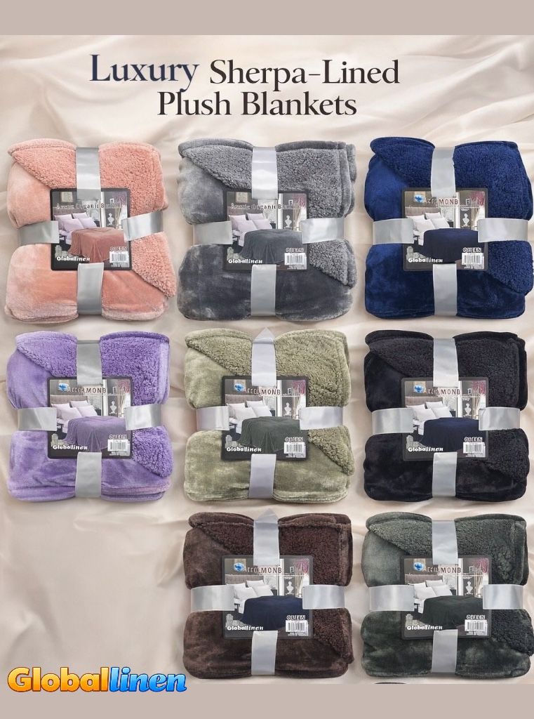 Queen Borrego and Velvet Blanket