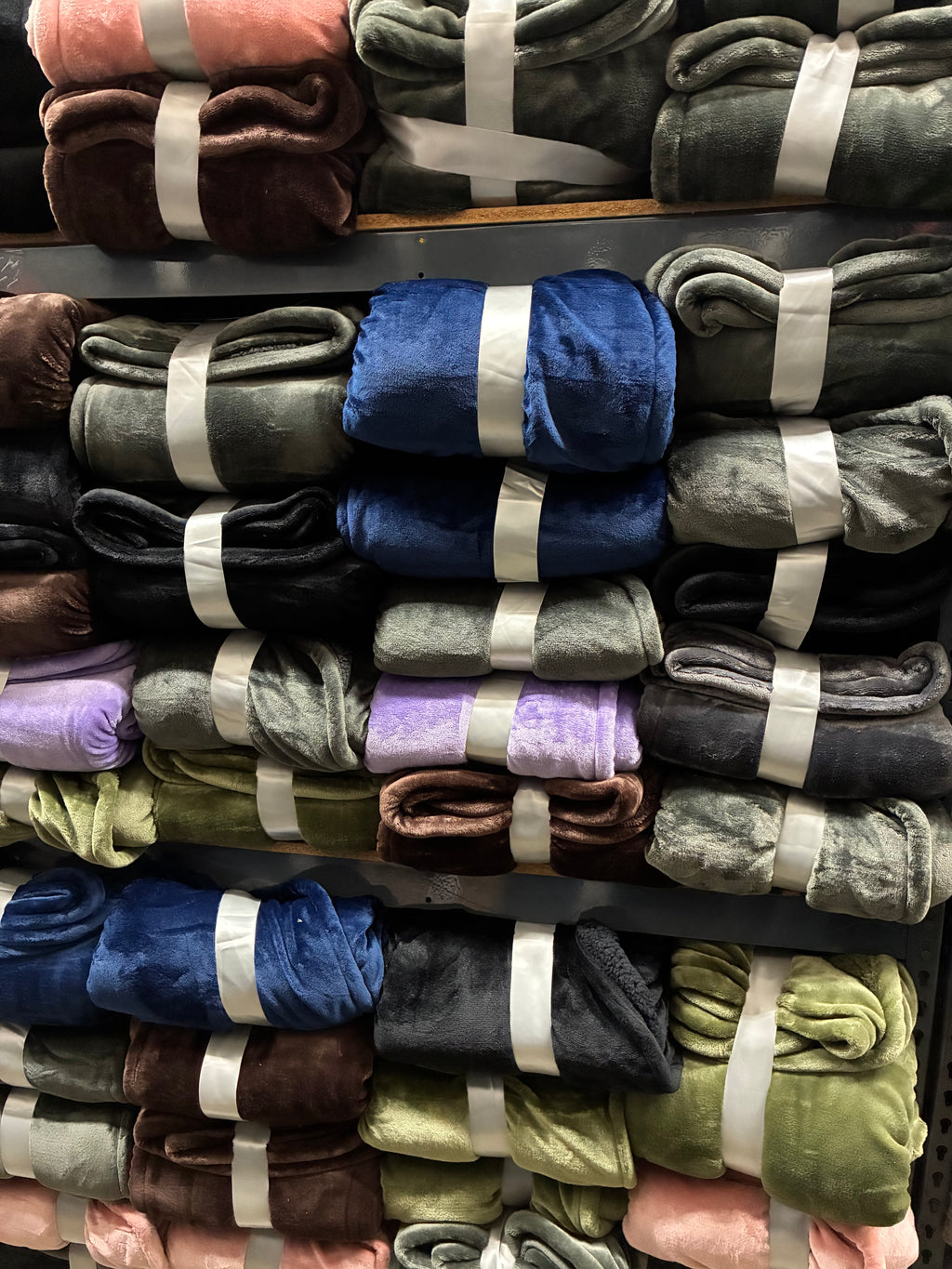 Queen Borrego and Velvet Blanket