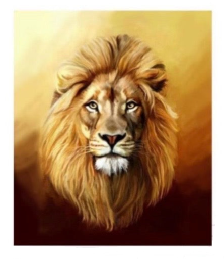 Maximo Queen Blanket