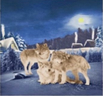 Maximo Queen Blanket