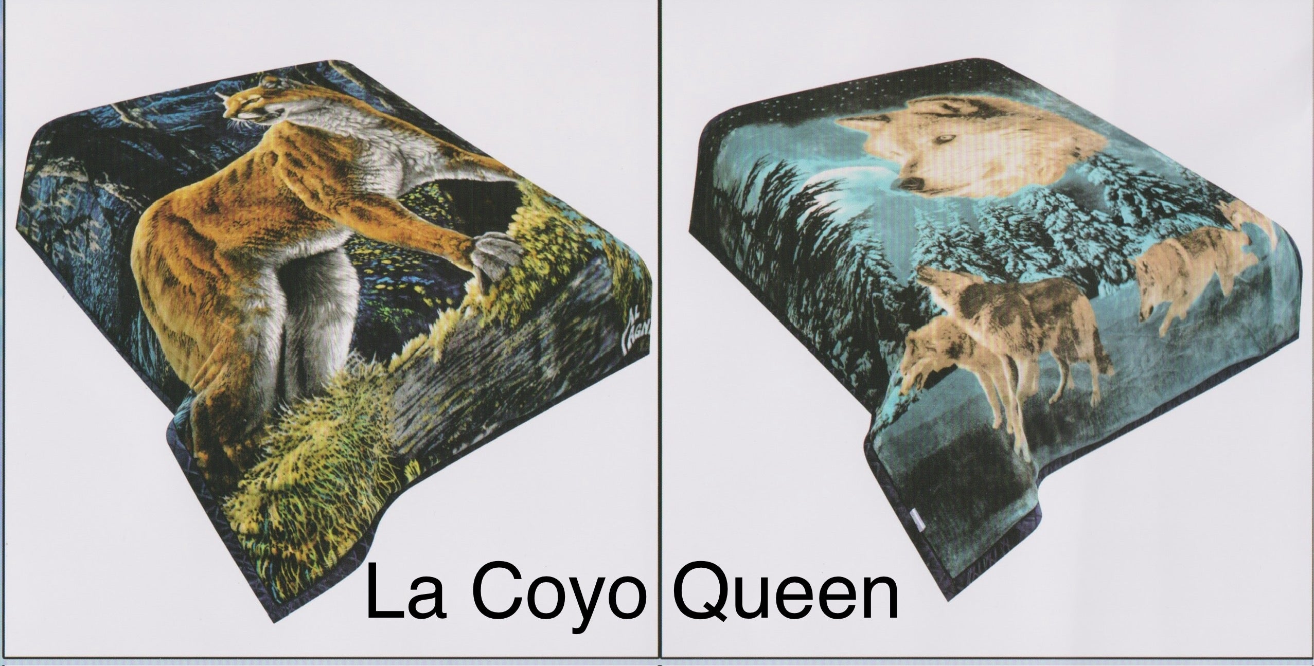 La Coyo Queen Blanket