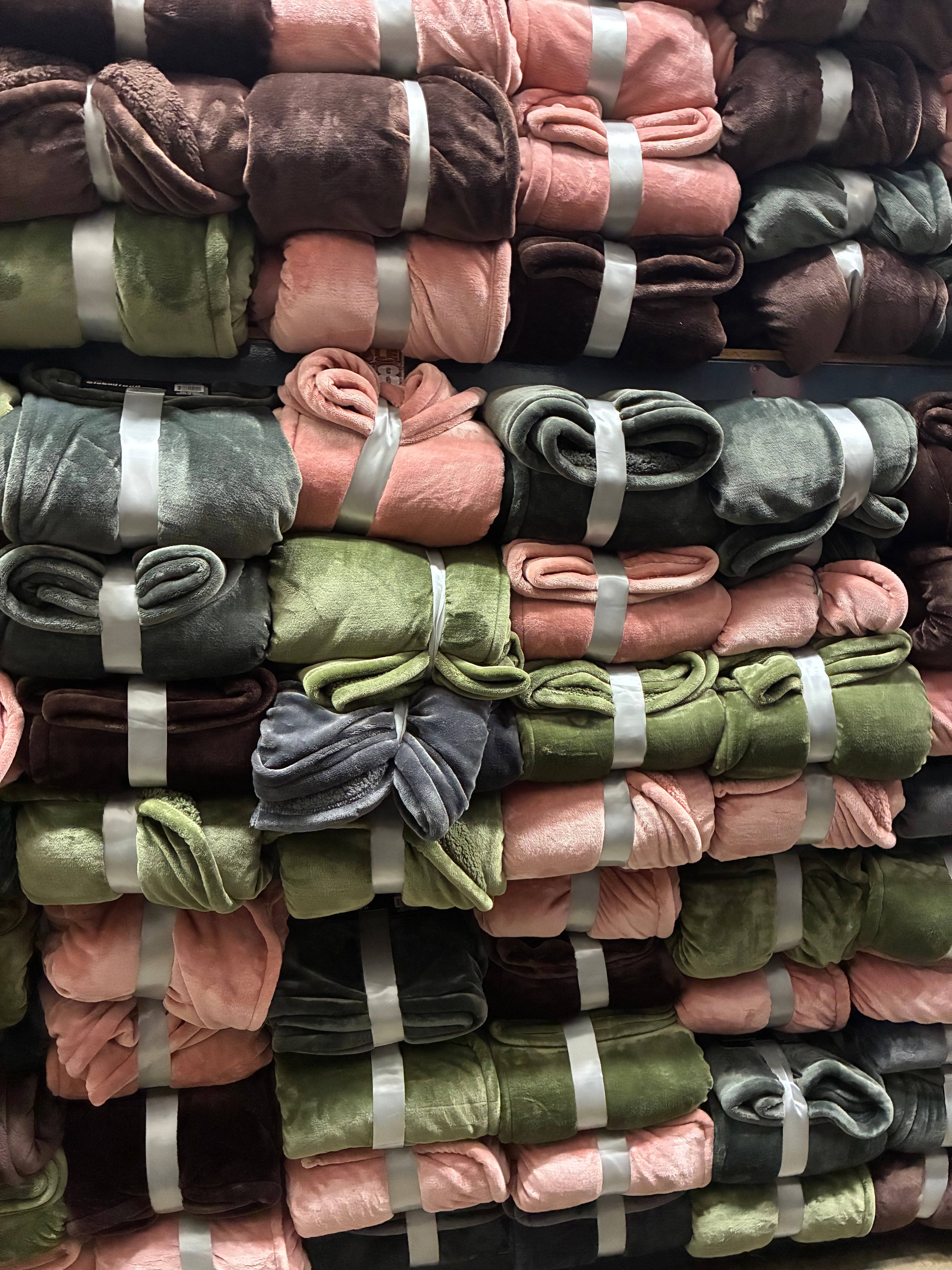 Queen Borrego and Velvet Blanket