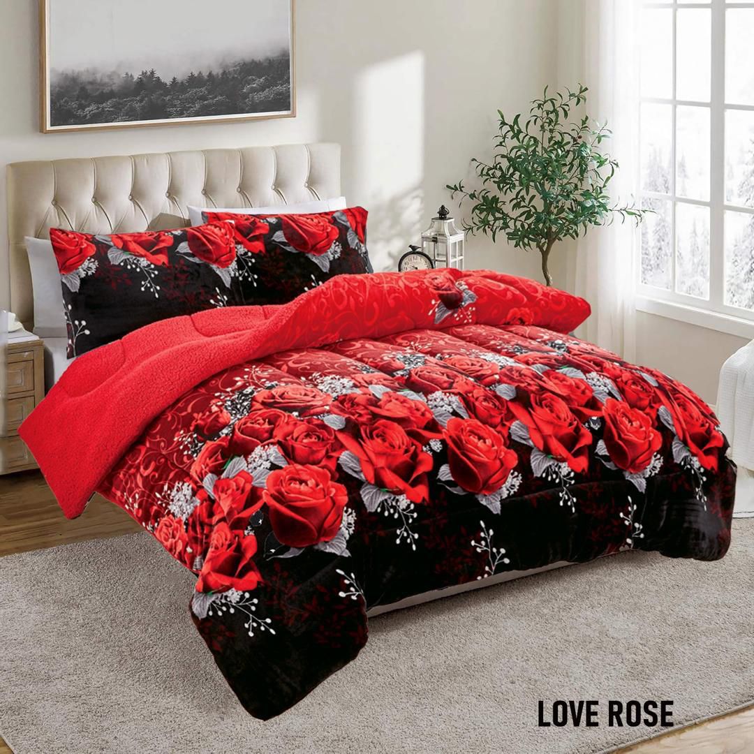 3pc Borrego Queen Printed Blanket