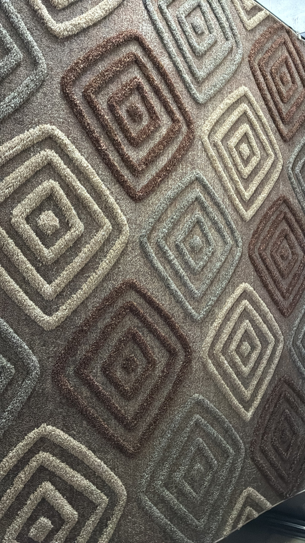 Shaggy Suave Carpet 8'x11'